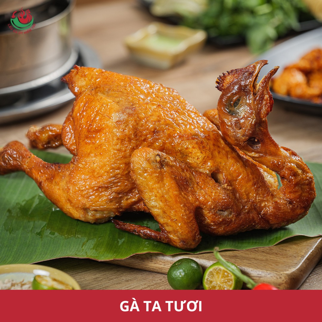 Lẩu gà ớt hiểm 109